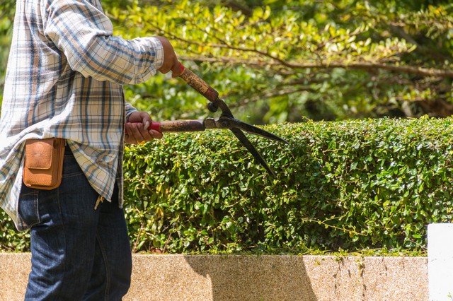Garden Maintenance Kensal Green, NW10